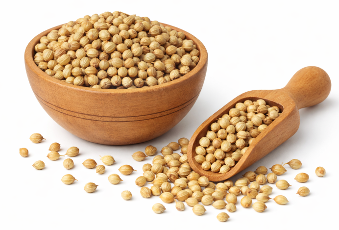 Organic Coriander - Dhaniya