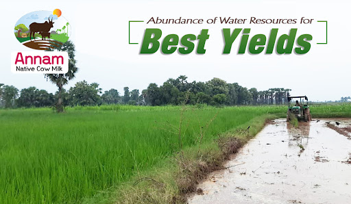 Abundance of Water Resources for Best Yields