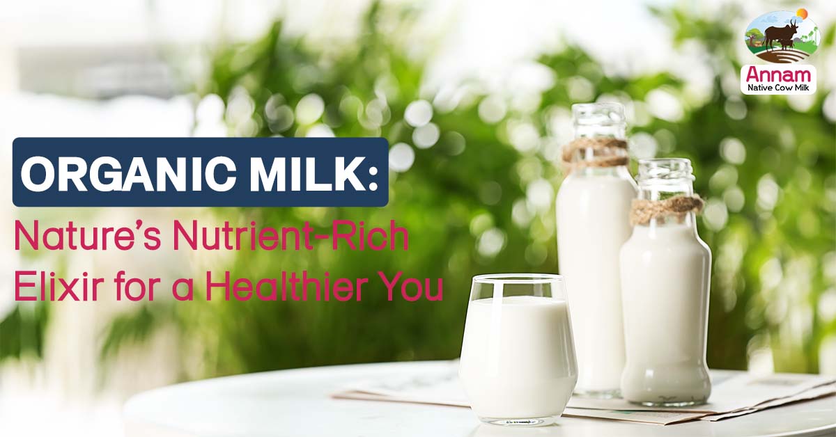 Organic Milk: Nature’s Nutrient-Rich Elixir For A Healthier You